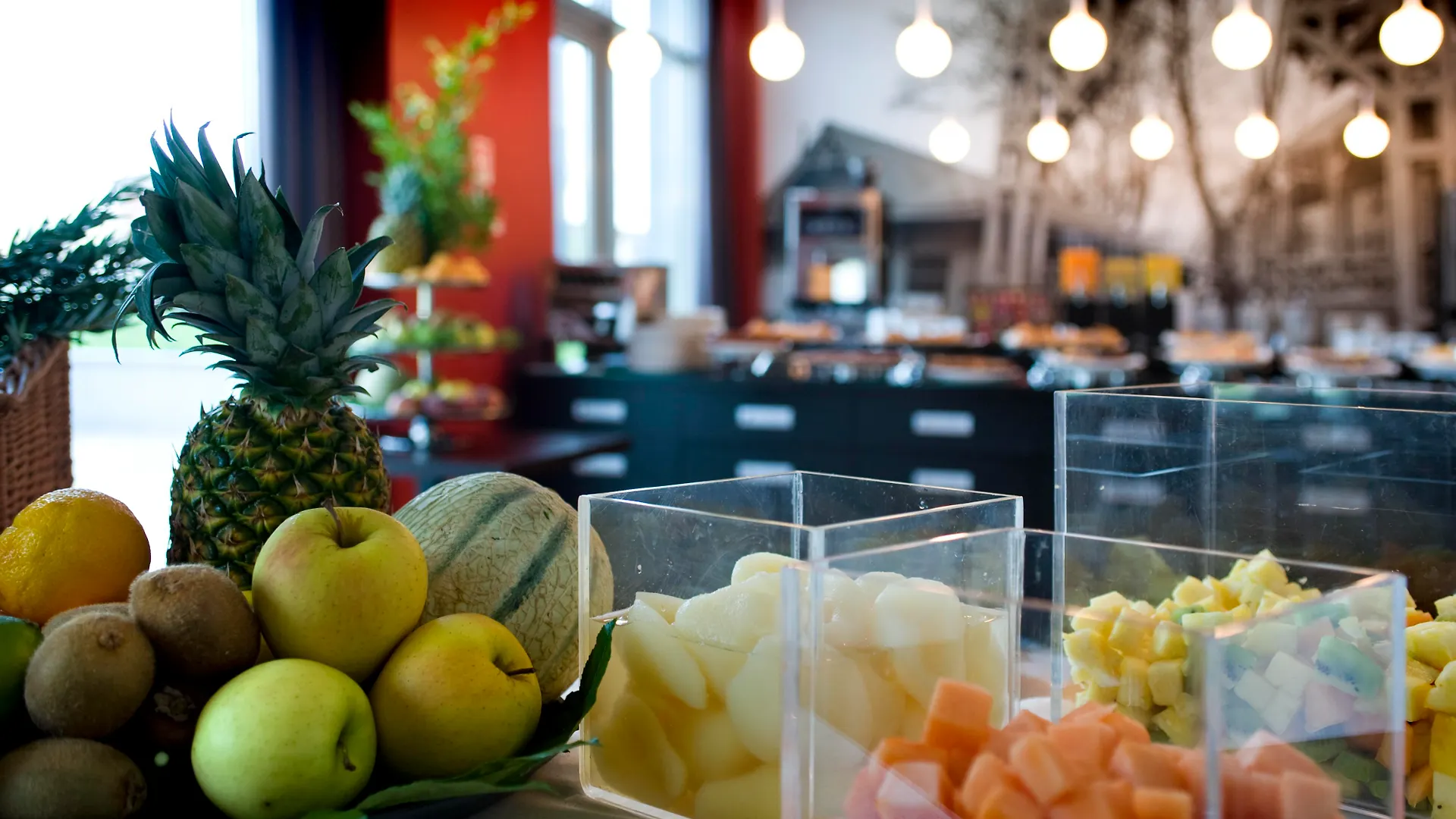 Hotel Domina Milano Fiera Novate Milanese 4*,